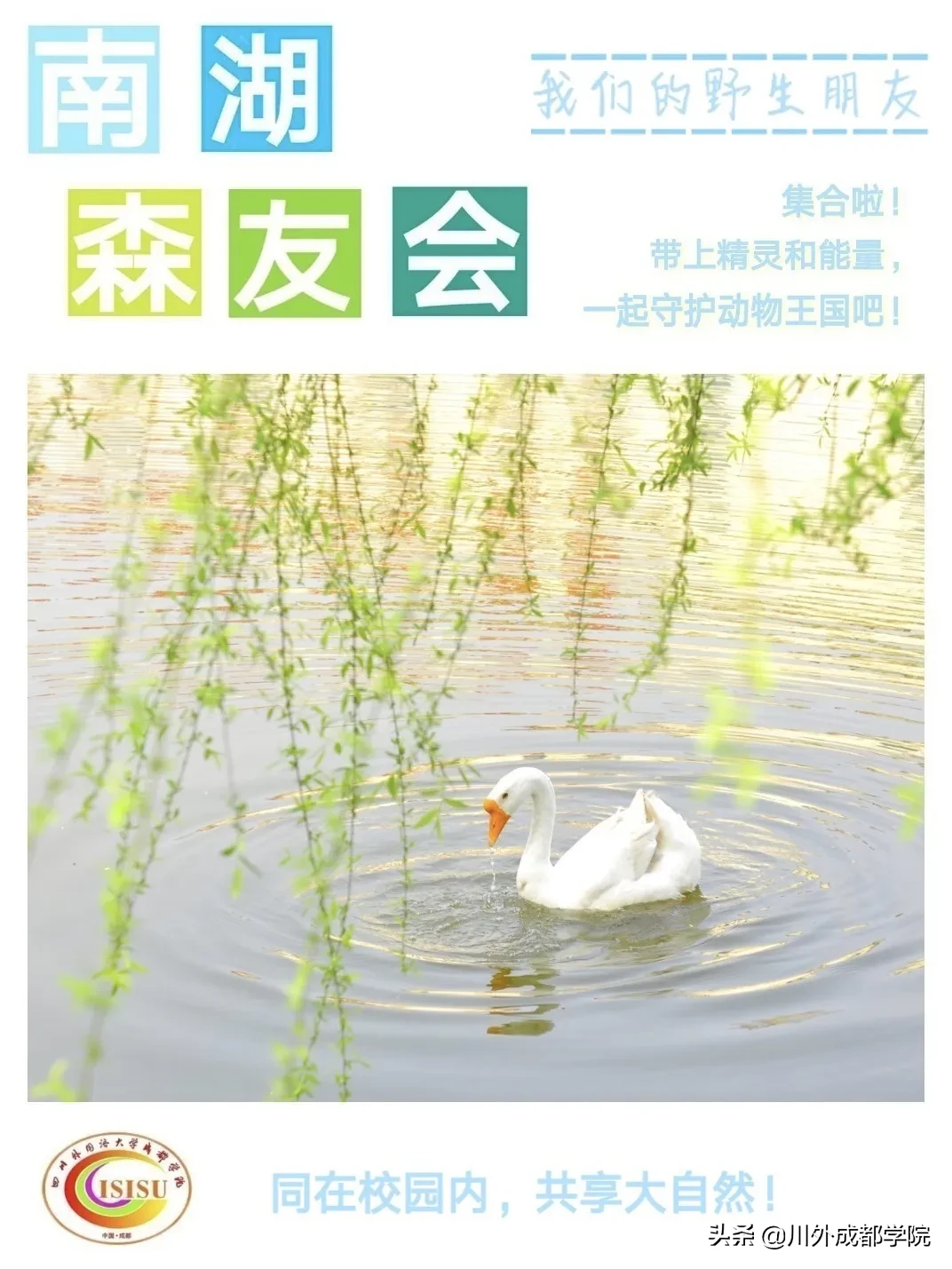 阅读时间到！四川外国语大学成都学院的杂志已上架