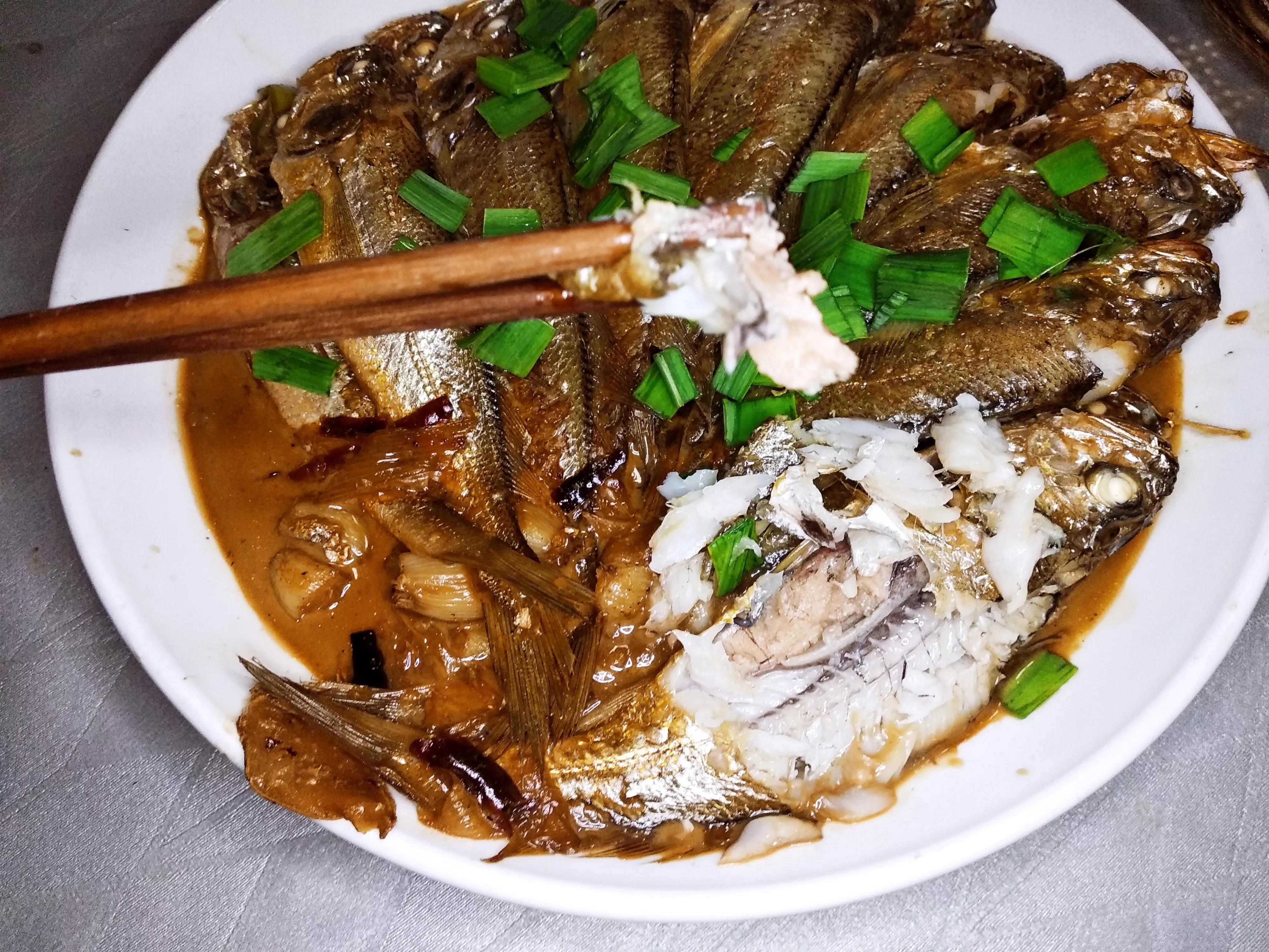 海魚的種類圖片,海魚種類名稱圖片大全