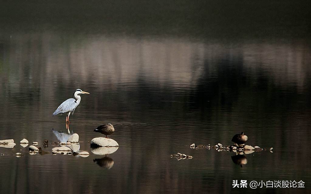 「股价股息」中国银行股发展如何（中国银行股票未来几年的股价预估）