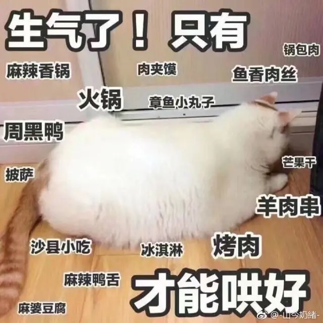 适合给男朋友发的猫猫表情包