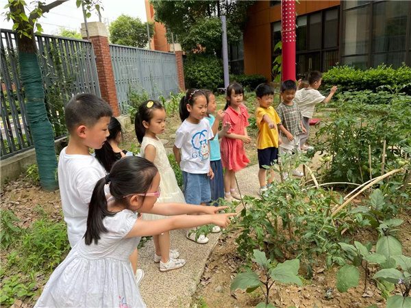 幼儿园毕业季：点亮微心愿 实现小梦想