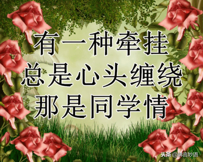 佛言妙语】同学情，永难忘，祝福每一位老同学平安，健康，快乐！