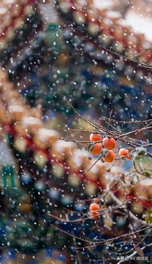 红墙，白雪，琉璃瓦，大雪压青松