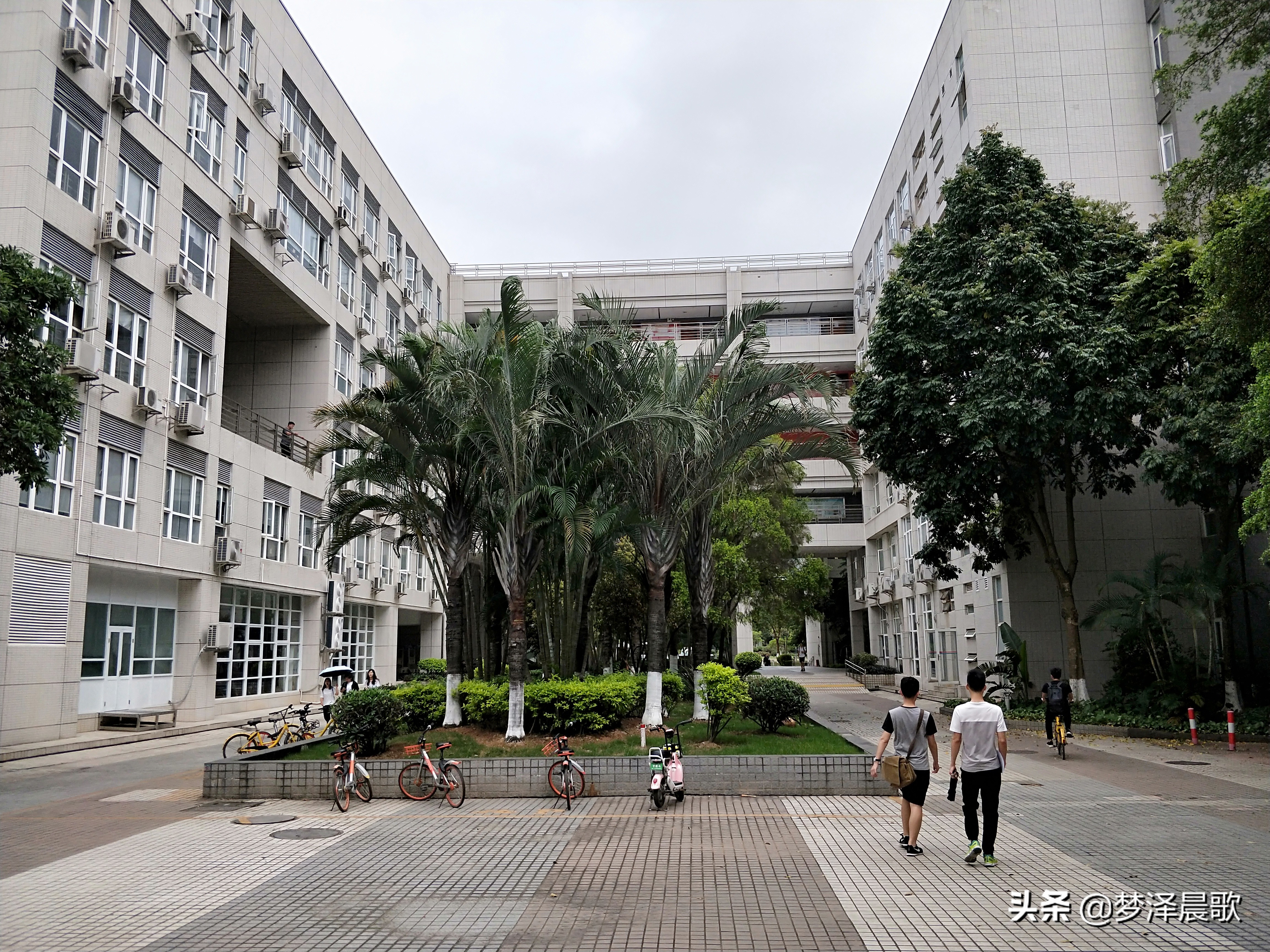 广州大学老校区图片