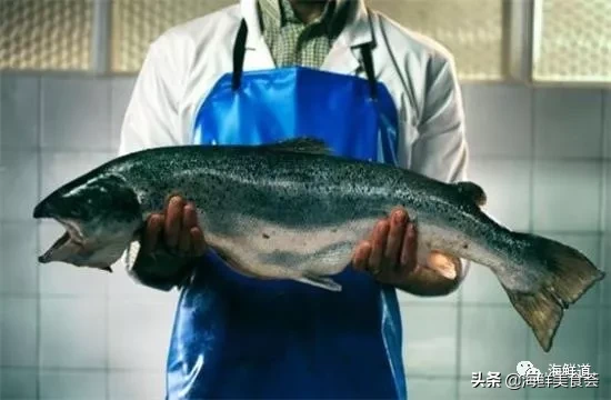 市场常见的102种海鲜，肉质鲜美，营养丰富，你们吃过几种？