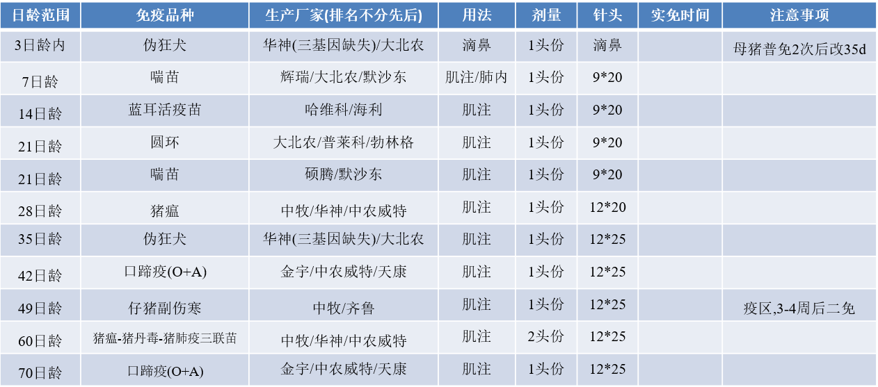 如何设计猪场免疫程序表？附免疫程序示范表，图文并茂干货满满