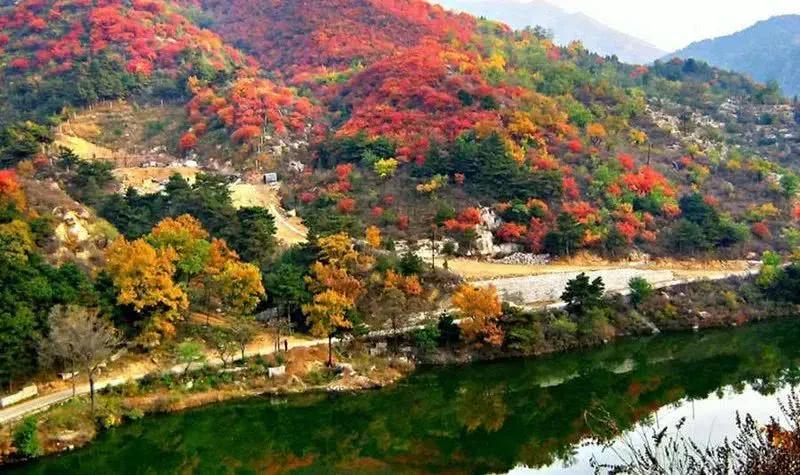 赏秋时节 </p><p>　　 打卡京郊这10条乡村公路，藏着北京最美的秋天
