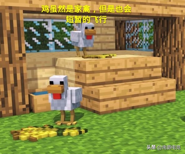 我的世界：六种带有翅膀的生物，超过一千万玩家只见过其中5个！