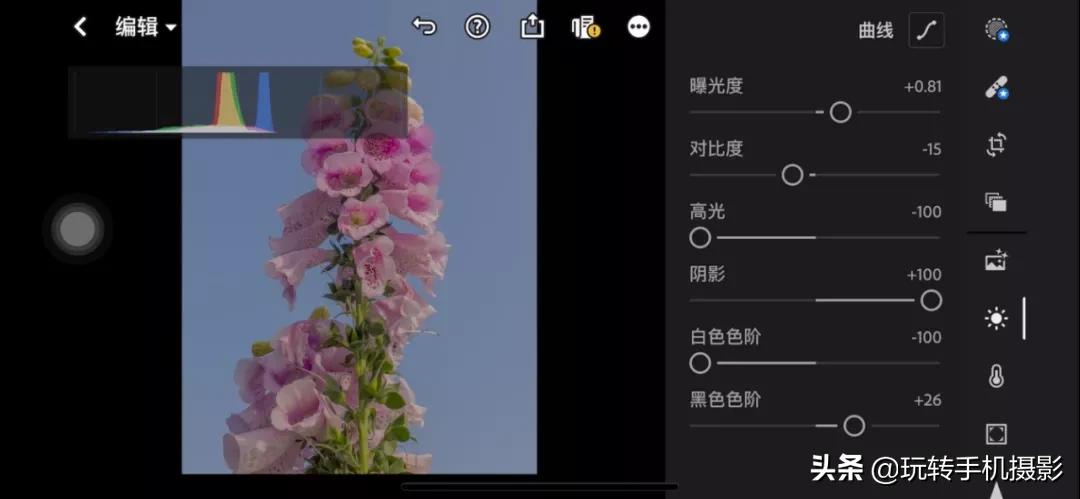 拍花后期！调色用对了，就很有春天的感觉