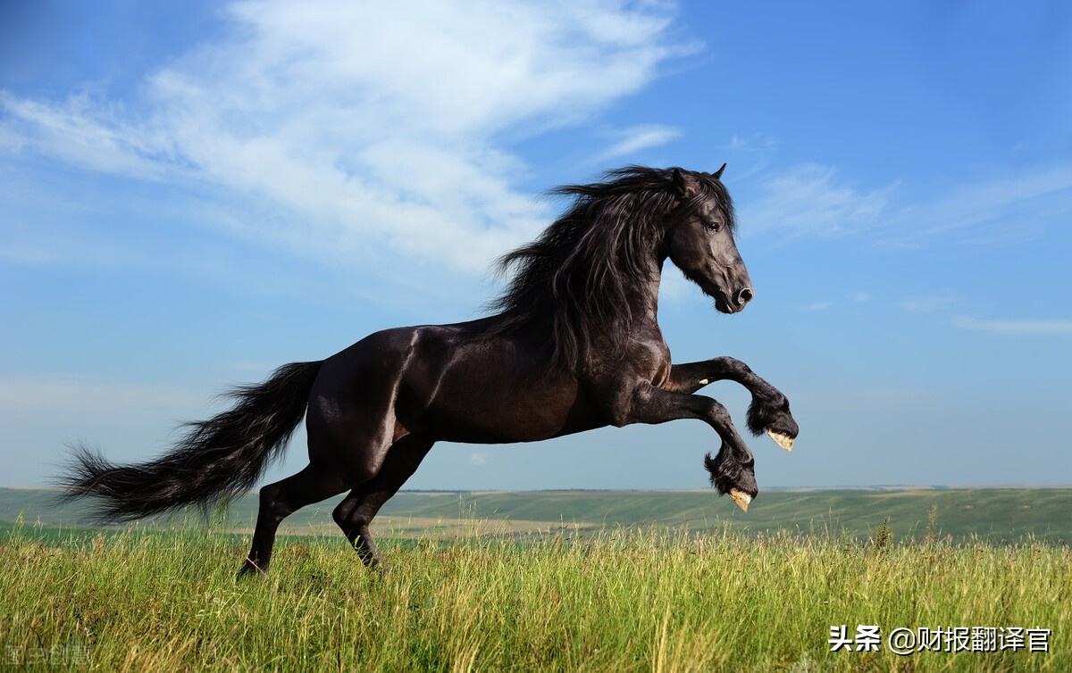 机器人板块暴涨,这家特种机器人龙头,毛利率高达55%,业绩增长66%