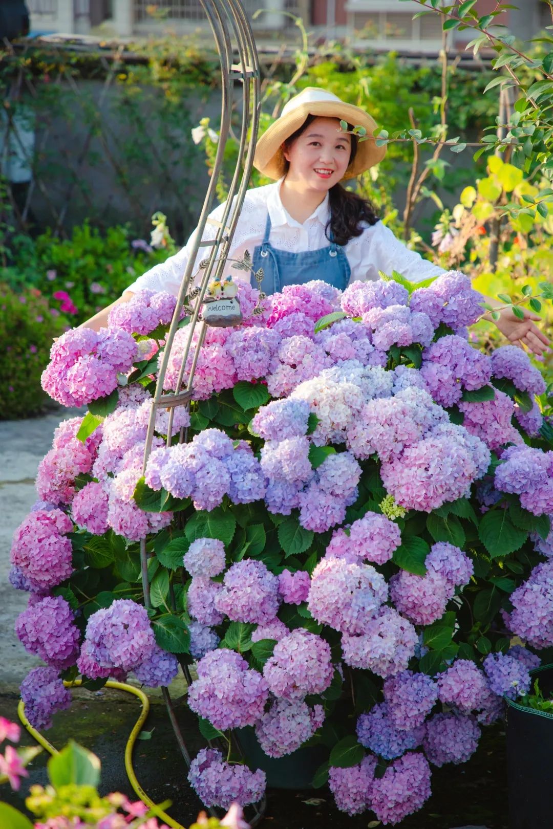 海妈花园访问｜想种花没地方？重庆小学老师在学校楼顶造了座花园