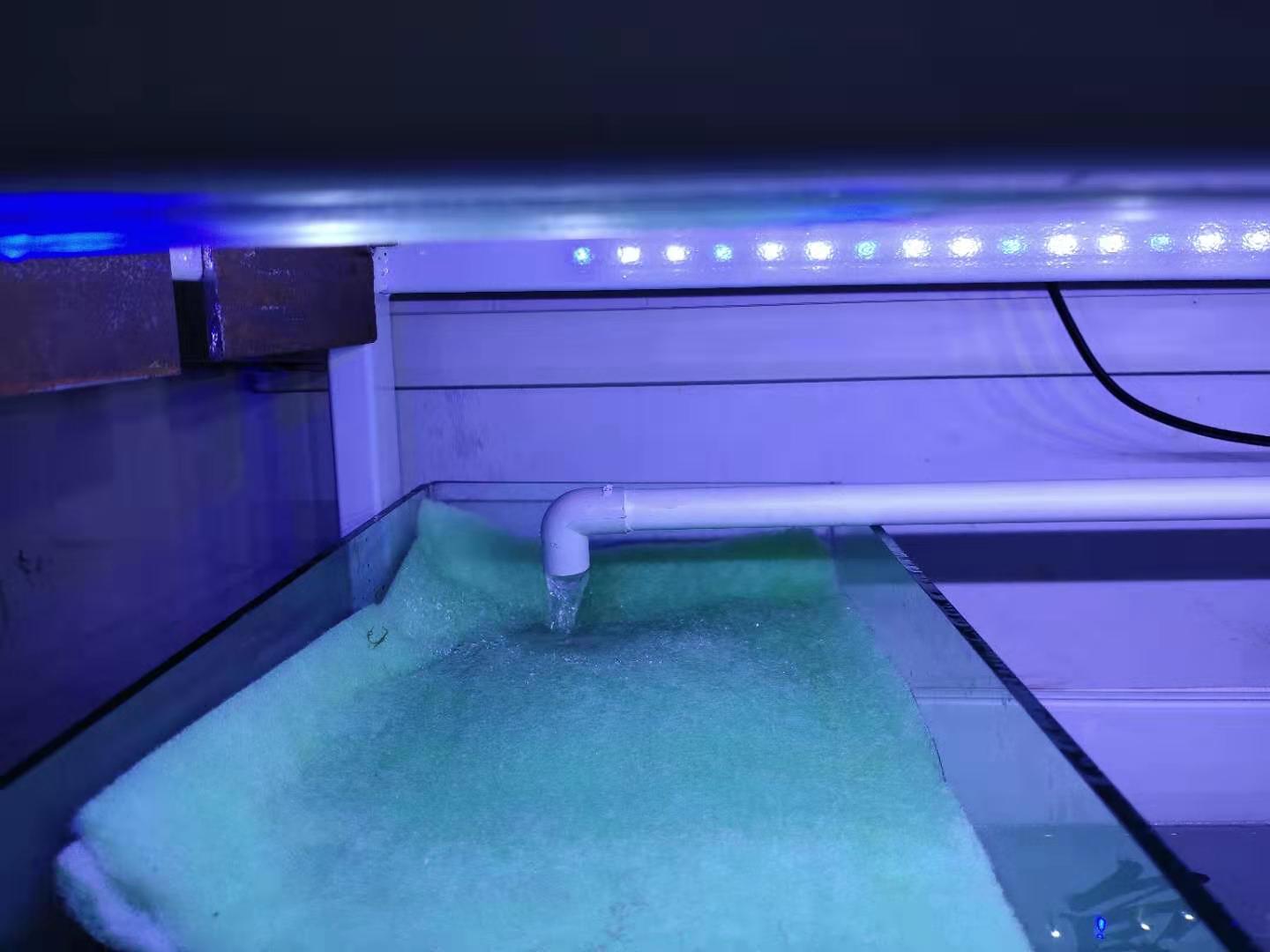 鱼缸上滤改造最佳图片(鱼缸最简单的小上滤我都放置了啥滤材) - 赤虎