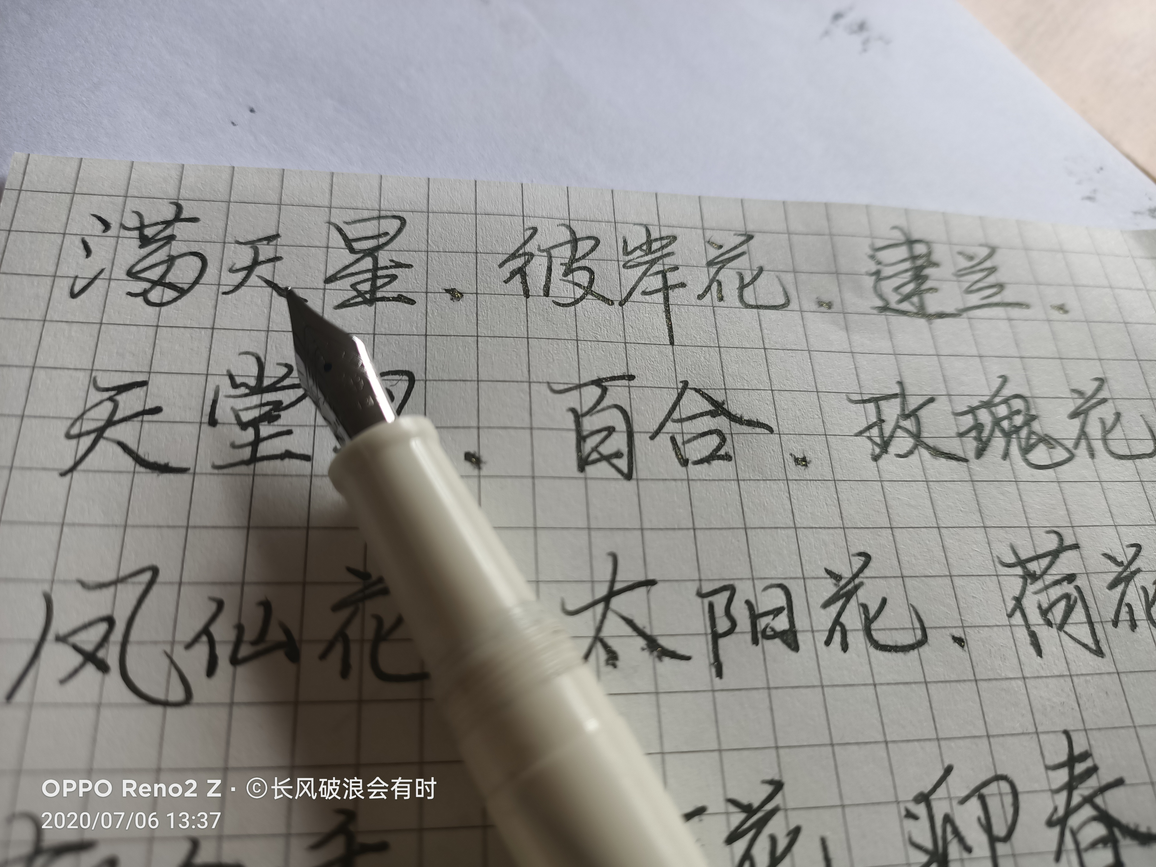 分享我的二十年经验，如何用墨水治疗钢笔的堵笔水枪等问题