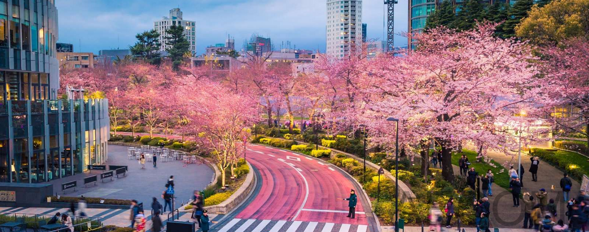 喜报｜美盛斩获金水区优质地块，教育大城再续美好