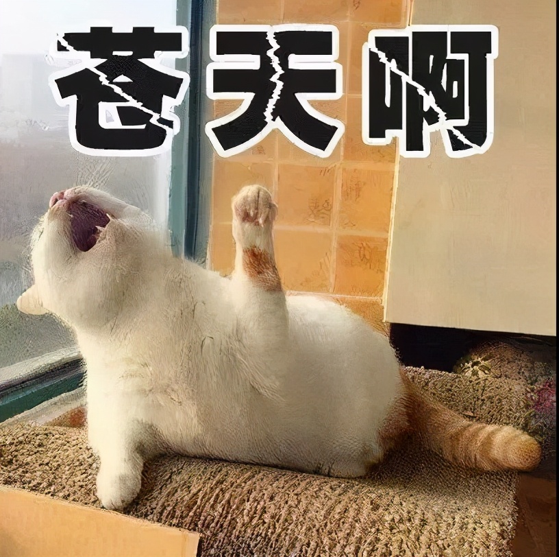 “蛋蛋疼”千万别大意！妈妈做了一件事保住了儿子的“下半身”