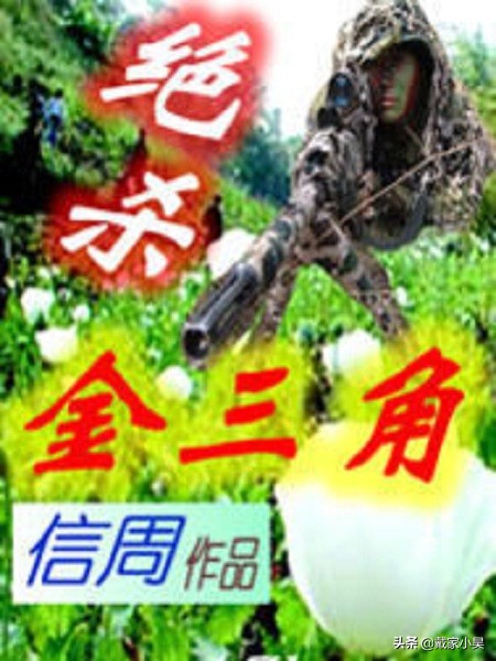 十部超燃超爆超热血、本本都想熬夜看的军事小说（不容错过）