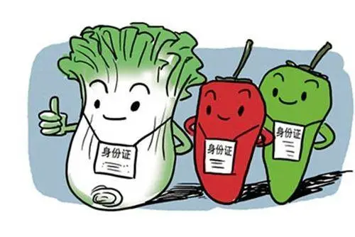 许可证（一起来了解）