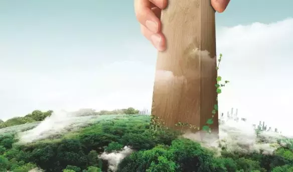 大王椰、莫干山、兔宝宝等“泛家居圈”2018十大板材品牌评选