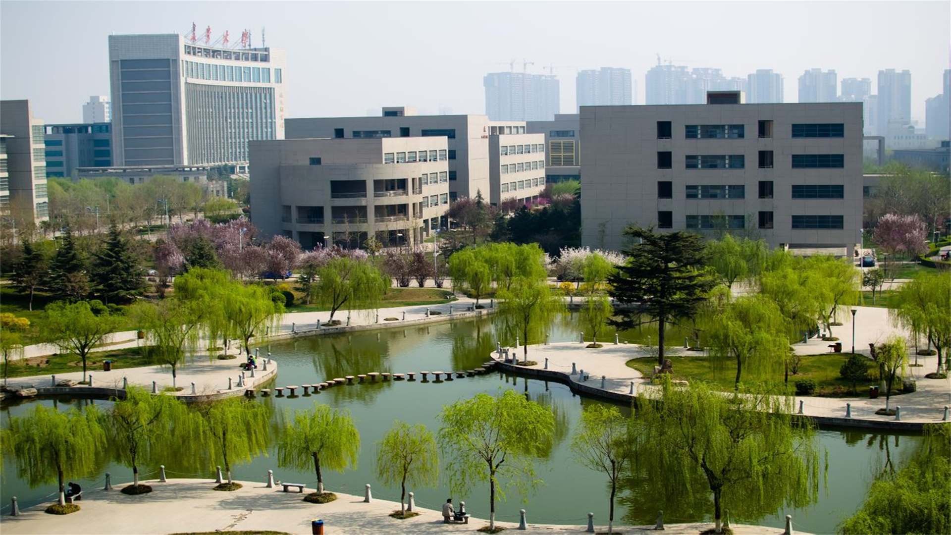 长安大学就业最好专业(深度解读高校)