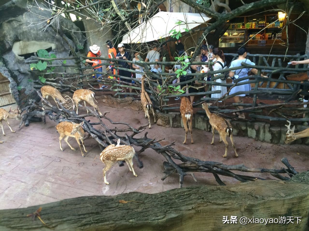 全国5A级旅游景区最新门票价格及优惠政策（广东篇）