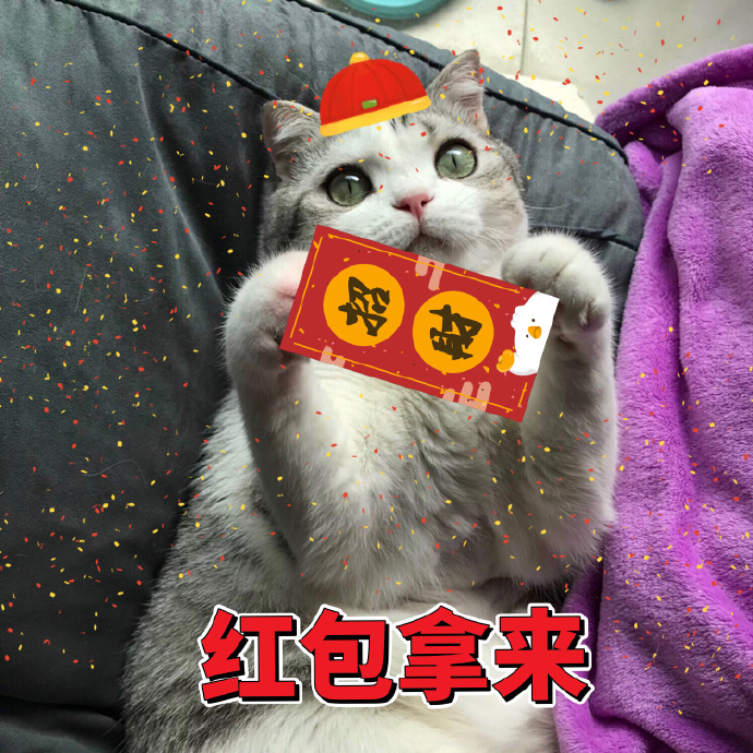 猫咪拜年表情包：恭喜发财，红包拿来