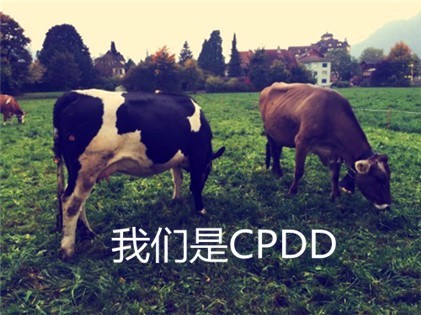 你都给游戏中的角色起过什么奇葩的名字？