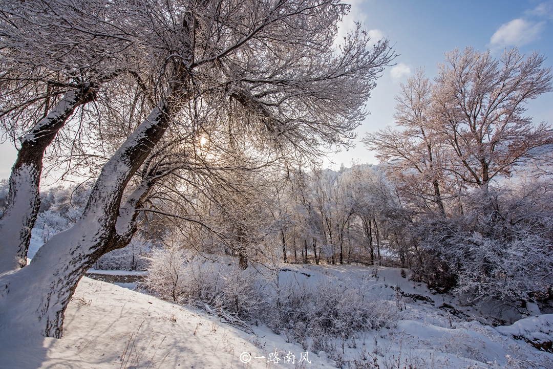 一生一定要去新疆天山看一次雪，太美了，分明就是“仙境”