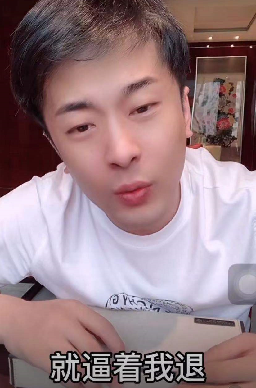 含泪“退网”半天后直播，回应说是酒后胡话，辛巴上演“归去来”
