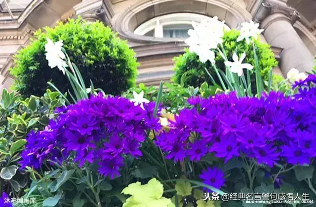 血脉相连情不渝，姐弟共谱温情曲
