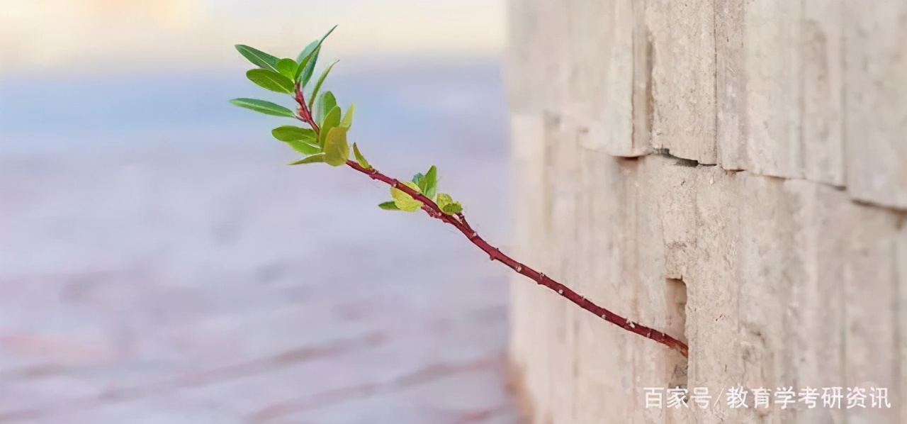 教育部第四轮学科评估院校排名！快来看看你的院校上榜了吗？