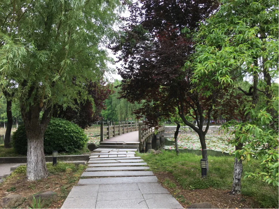 颜值这么高，是哪所高校呢？苏州大学独墅湖校区正在越变越美