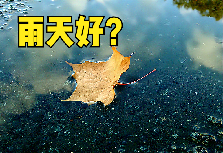 今日出伏,出伏当天下雨好还是晴天好?看看农村谚语就知道