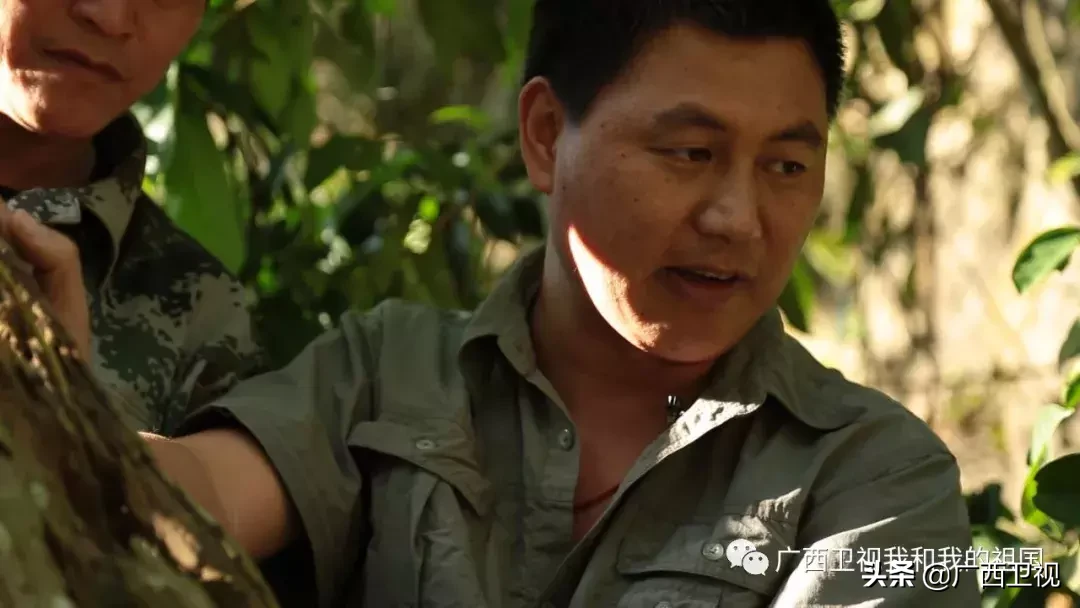 为造地雷浑身是伤，俘虏级别最高国民党将领……他们都是解放广西的英雄