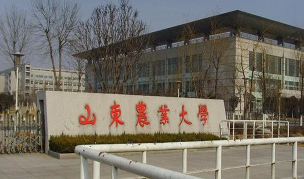 山东高校推介之三：青岛科技、青岛理工、山农大、山东理工、烟大