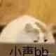 百草味：我太难了，营销比不过三只松鼠，品质比不过良品铺子