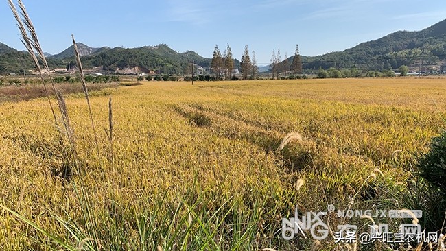 2017→2019，農(nóng)機(jī)補(bǔ)貼政策有哪些變化？