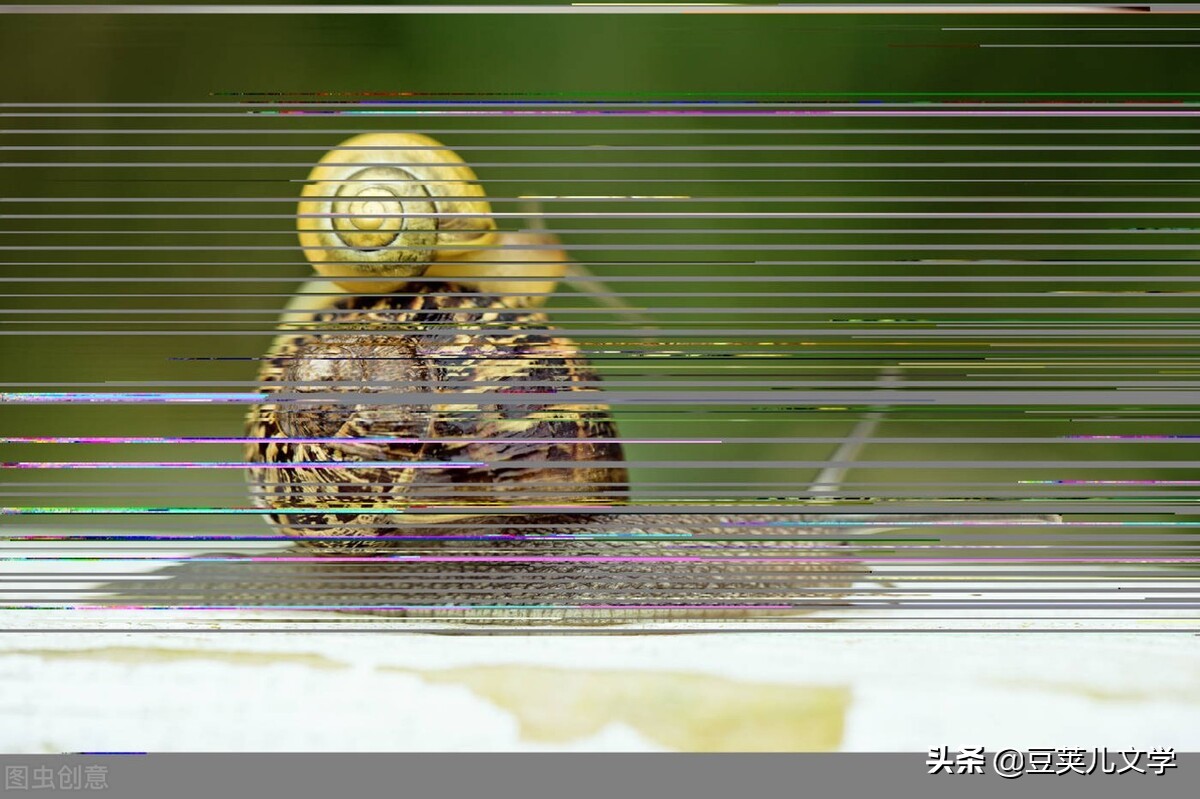 散文：我像只蜗牛一样走在路上