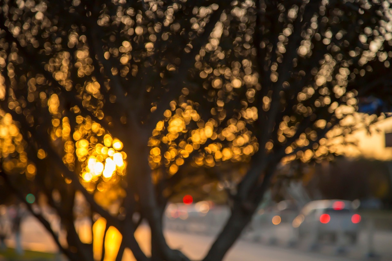 诗词｜岁月不饶人，我亦未曾饶过岁月