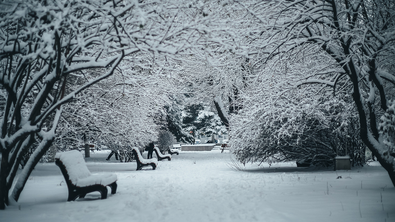 东北大学继续教育学院（自考的通过率网上找到的数据）