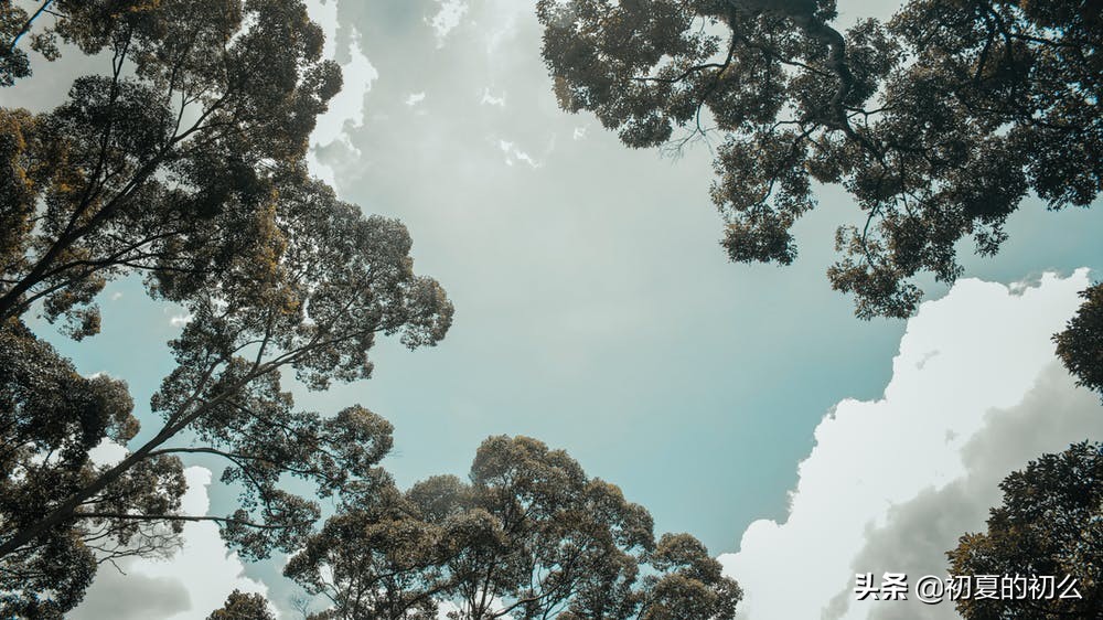 痛到想哭的伤感句子 | 无法愈合的伤，只疼在看不见的地方