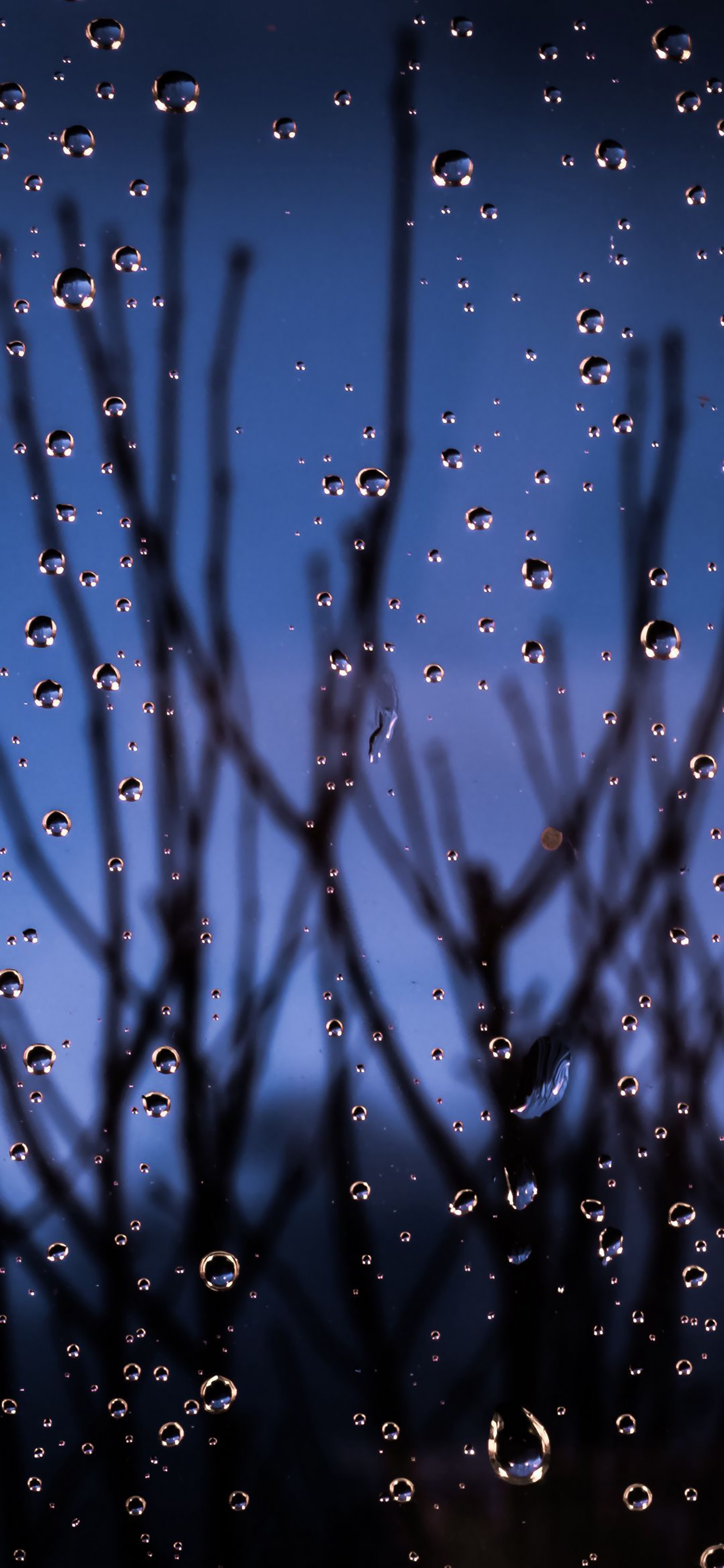 〔手机壁纸〕手机屏幕上的雨滴水珠