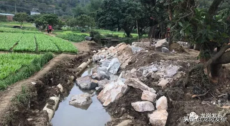 龙岗cba球场在哪里(龙岗这里即将新建文体中心，还有五个街心公园，地址全在这！)