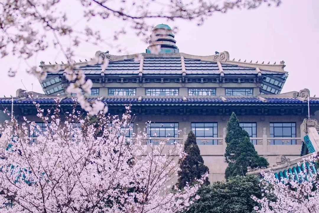 速戳！武汉大学2020年强基计划招生简章出炉