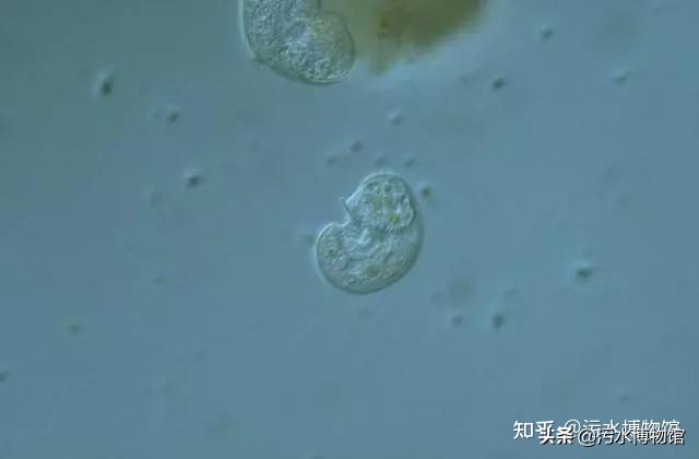 重金属污水中主要重金属来源的分类及治理方法大全！（很实用）