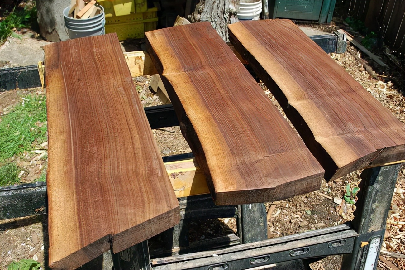 常见的木材分类你了解多少(附图)