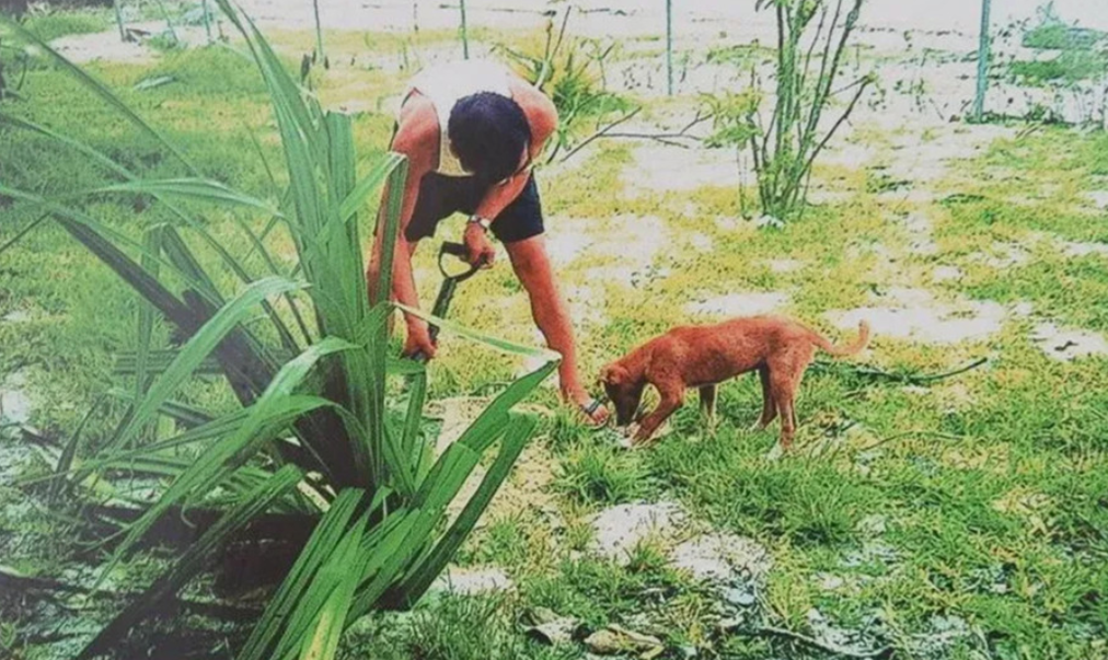 最孤独的外交官：住草房吃苔藓，一人撑起大使馆，孤岛独守3年