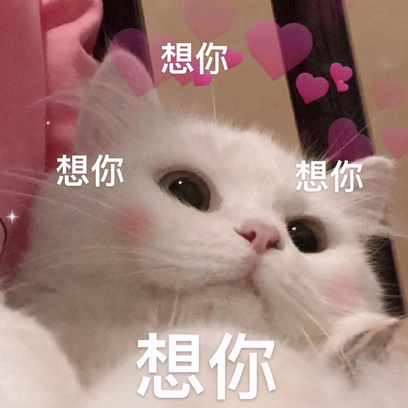 猫咪表情包合集｜在？出来玩