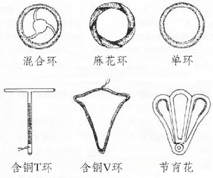 所有环的图片名称大全图片