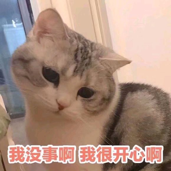 猫咪表情包｜劳资的心，收好