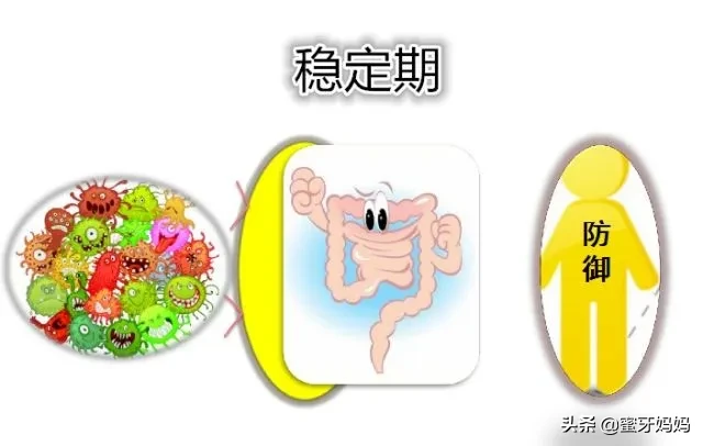 益生菌吃不吃?怎么吃?关于益生菌,一篇全知道